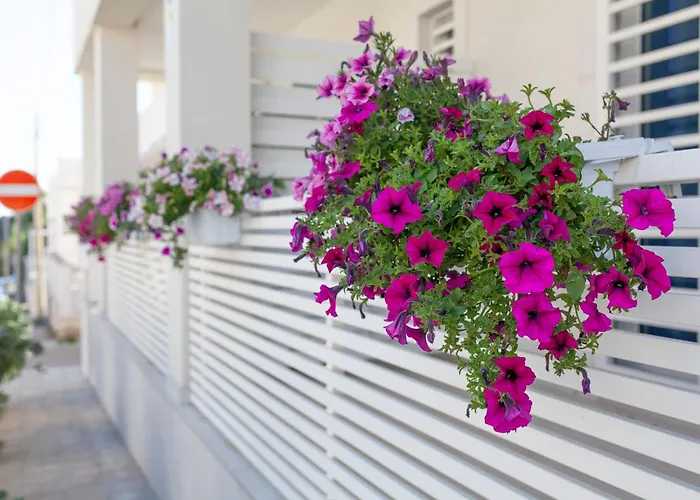 Bed & Breakfast Dimora Nesea