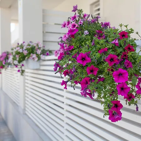 Bed & Breakfast Dimora Nesea